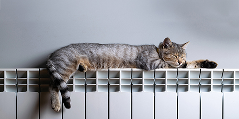 Fast heating - progress and speed